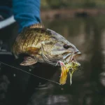 Common Mistakes to Avoid When Fly Fishing for Bass