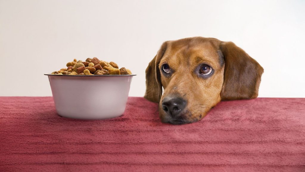 Is Badlands Ranch Superfood Complete Good for Puppies?