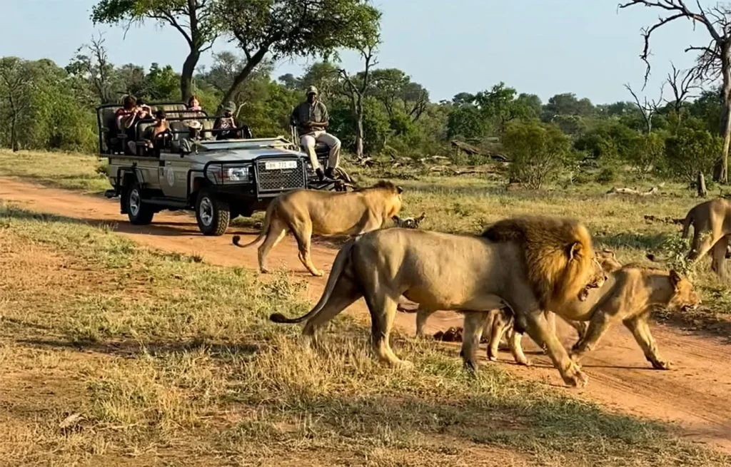 Experience Safari and Sun on a Tanzania Safari from Zanzibar