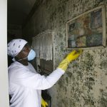 Reliable Mold Removal Dubai Experts Available 24/7